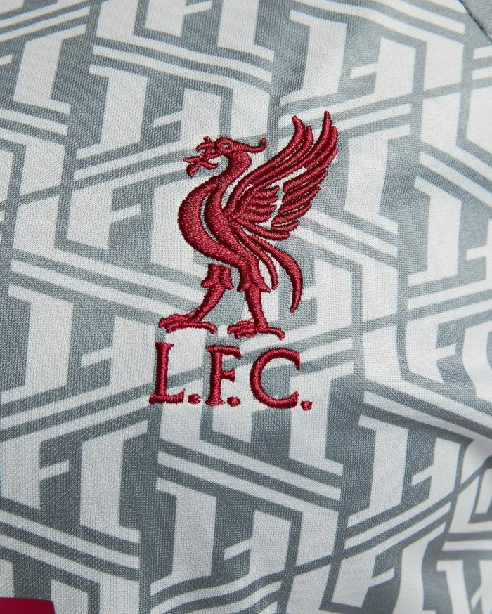 All Clothing Women Nike Liverpool FC Wolf Greytough Redtough Red
