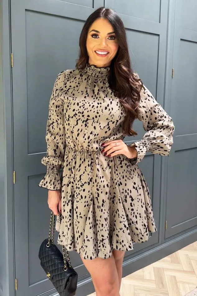 AX Paris Dresses Beige Animal Print Long Sleeve Shirred Detail Skater Dress