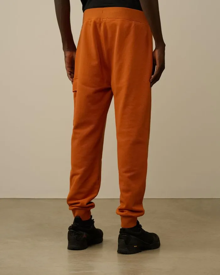 CP Company Tracksuits and Shorts Diagonal Raised Fleece Cargo Sweatpants Bombay Brown 8211 Man