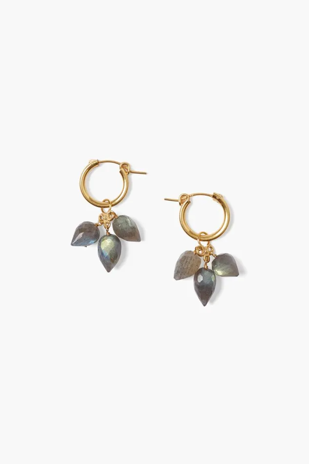 Chan Luu Earrings Women Delphine Hoop Earrings Labradorite