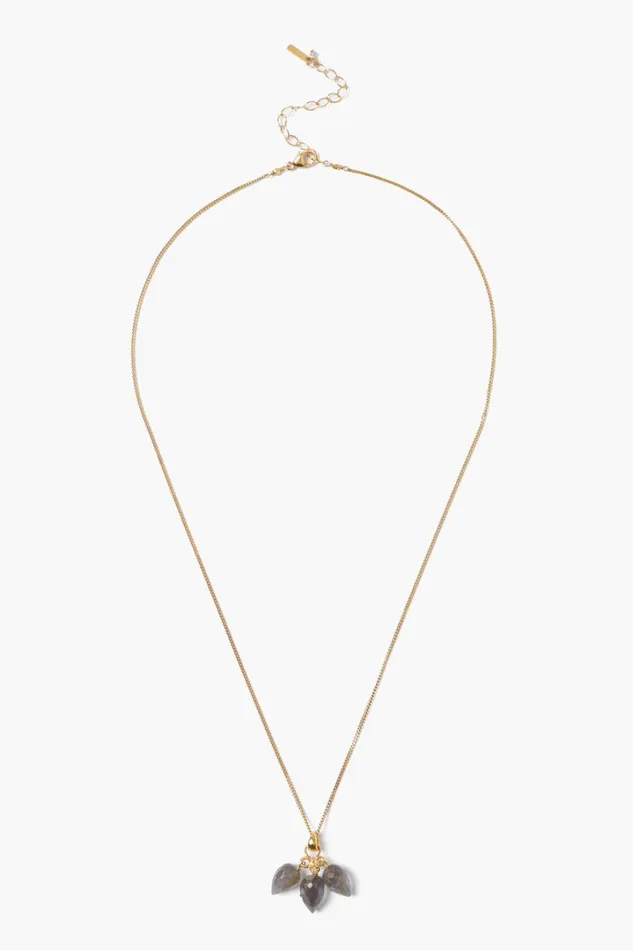 Chan Luu Necklaces Women Delphine Necklace Labradorite