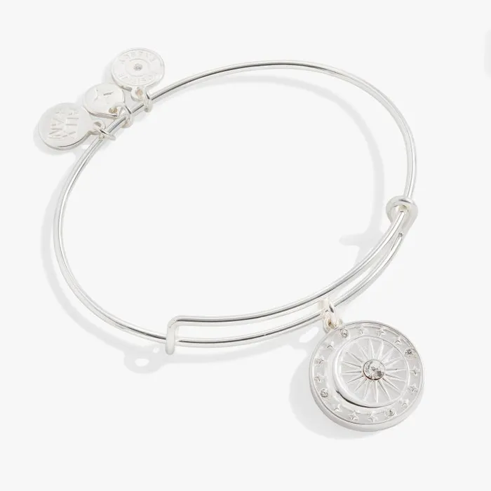 Iconic Women Alex And Ani Cosmic Balance Charm Bangle Gold
