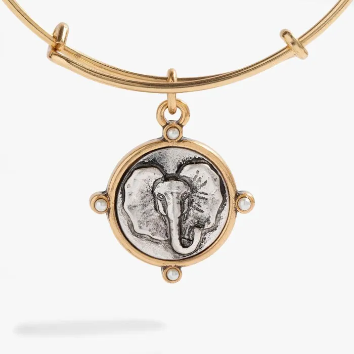Iconic Women Alex And Ani Elephant Charm Bangle Two Tone