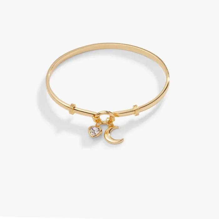 Iconic Women Alex And Ani Moon Duo Clip Bangle Gold