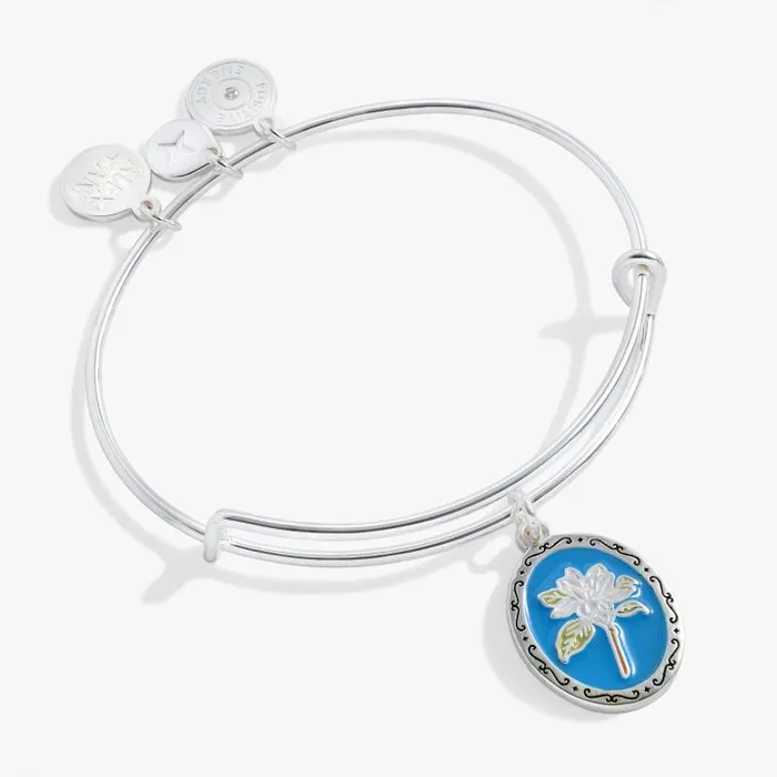 Iconic Women Alex And Ani Sending Love Charm Bangle Silver