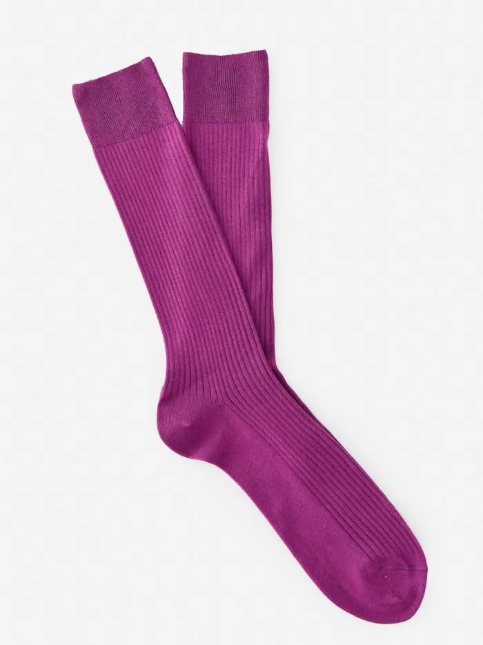 JMclaughlin Ribbed Socks Ultra Violet Men Socks