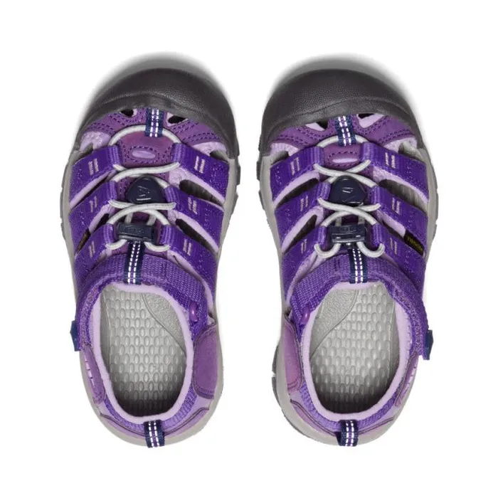 Little Kids039 Purple Water Hiking Sandals 8211 Newport H2 Kids KEEN Hike Little Kids039 Purple Water Hiking Sandals 8211 Newport H2 Kids KEEN Hike