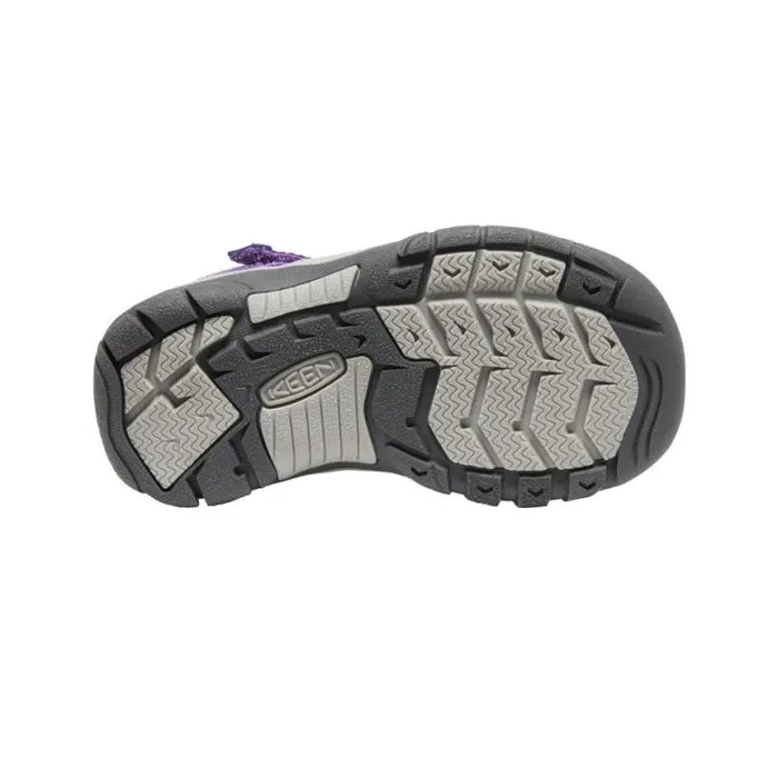 Little Kids039 Purple Water Hiking Sandals 8211 Newport H2 Kids KEEN Hike Little Kids039 Purple Water Hiking Sandals 8211 Newport H2 Kids KEEN Hike