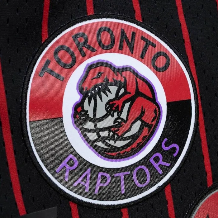 Mitchell and Ness City Collection Mesh Shorts Toronto Raptors Men Shorts Mitchell and Ness City Collection Mesh Shorts Toronto Raptors Men Shorts