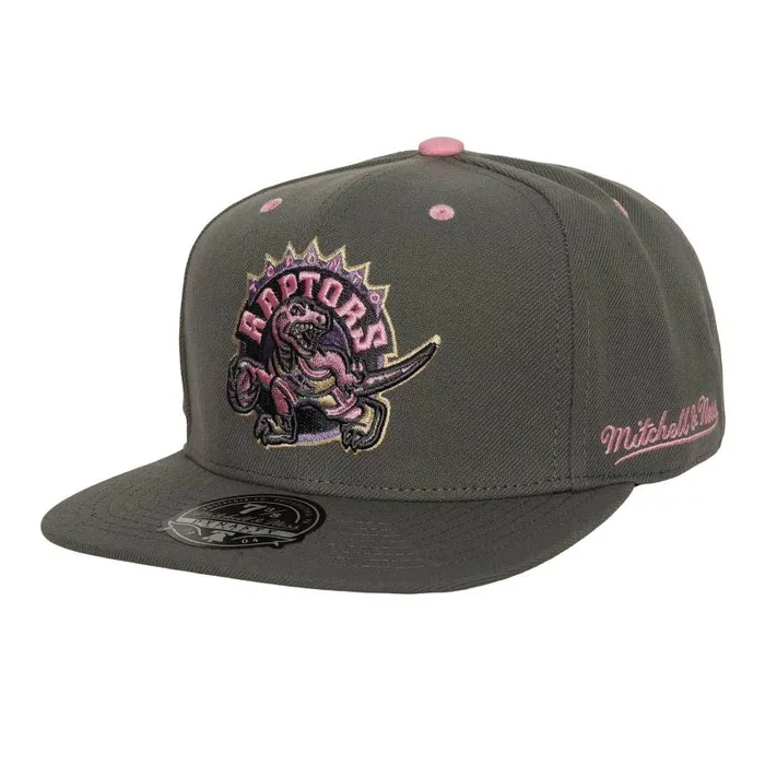 Mitchell and Ness Lavender Dreams Fitted HWC Toronto Raptors Men Hats and Headwear Mitchell and Ness Lavender Dreams Fitted HWC Toronto Raptors Men Hats and Headwear