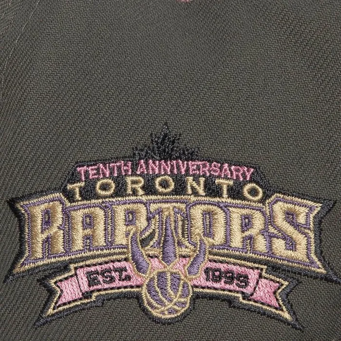 Mitchell and Ness Lavender Dreams Fitted HWC Toronto Raptors Men Hats and Headwear Mitchell and Ness Lavender Dreams Fitted HWC Toronto Raptors Men Hats and Headwear
