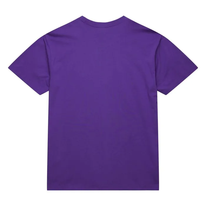Mitchell and Ness Neon Nights SS Premium Tee Toronto Raptors Men TShirts and Tops Mitchell and Ness Neon Nights SS Premium Tee Toronto Raptors Men TShirts and Tops