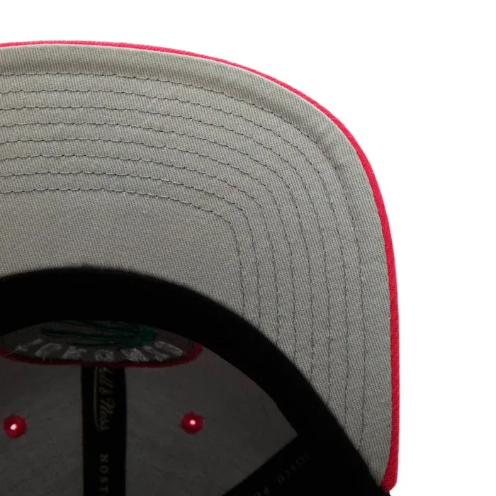 Mitchell and Ness Santa Ana 2Tone Snapback Charlotte Hornets Men Hats and Headwear Mitchell and Ness Santa Ana 2Tone Snapback Charlotte Hornets Men Hats and Headwear