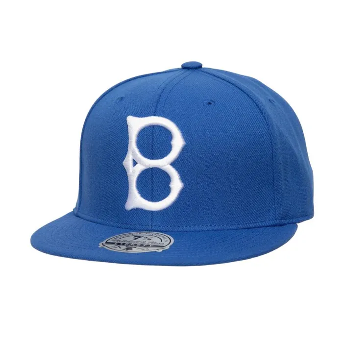 Mitchell and Ness Since Day One Fitted Coop Brooklyn Dodgers Men Hats and Headwear Mitchell and Ness Since Day One Fitted Coop Brooklyn Dodgers Men Hats and Headwear