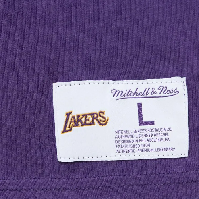 Mitchell and Ness SS Fashion Tee Los Angeles Lakers Kids TShirts and Tops Mitchell and Ness SS Fashion Tee Los Angeles Lakers Kids TShirts and Tops
