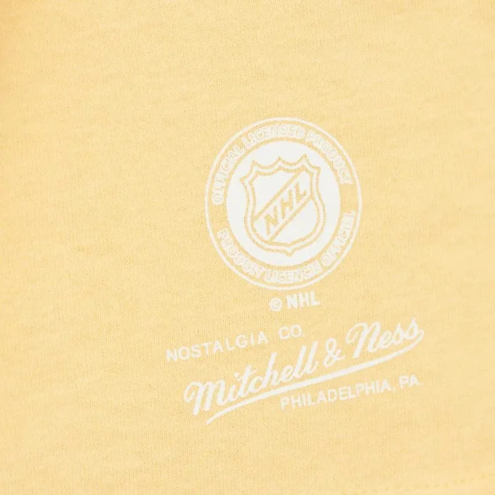 Mitchell and Ness Stateside Pastel SS Tee Boston Bruins Men TShirts and Tops Mitchell and Ness Stateside Pastel SS Tee Boston Bruins Men TShirts and Tops