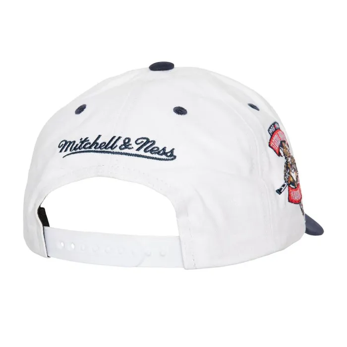Mitchell and Ness Tail Sweep Pro Snapback Florida Panthers Men Hats and Headwear Mitchell and Ness Tail Sweep Pro Snapback Florida Panthers Men Hats and Headwear