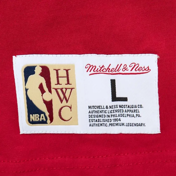 Mitchell and Ness Team OG 20 Premium SS Tee Vintage Logo Atlanta Hawks Men TShirts and Tops Mitchell and Ness Team OG 20 Premium SS Tee Vintage Logo Atlanta Hawks Men TShirts and Tops