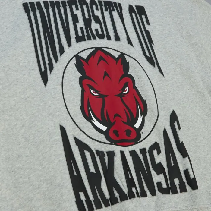 Mitchell and Ness Women039s Logo Lightweight Crew 30 University Of Arkansas Women Hoodies and Sweatshirts Mitchell and Ness Women039s Logo Lightweight Crew 30 University Of Arkansas Women Hoodies and Sweatshirts