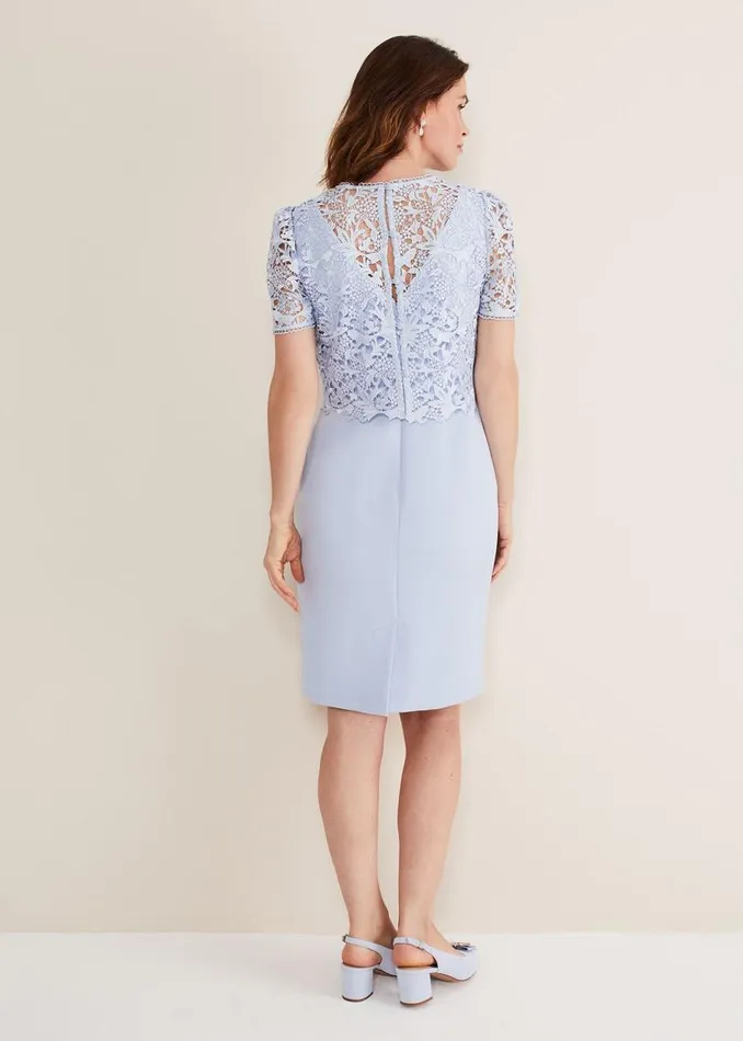 Phase Eight Dresses Isabella Lace Midi Dress Light Cornflower 8211 Women