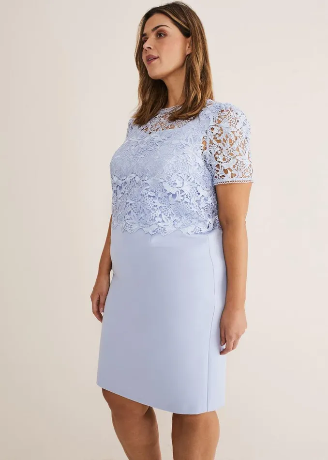 Phase Eight Dresses Isabella Lace Midi Dress Light Cornflower 8211 Women
