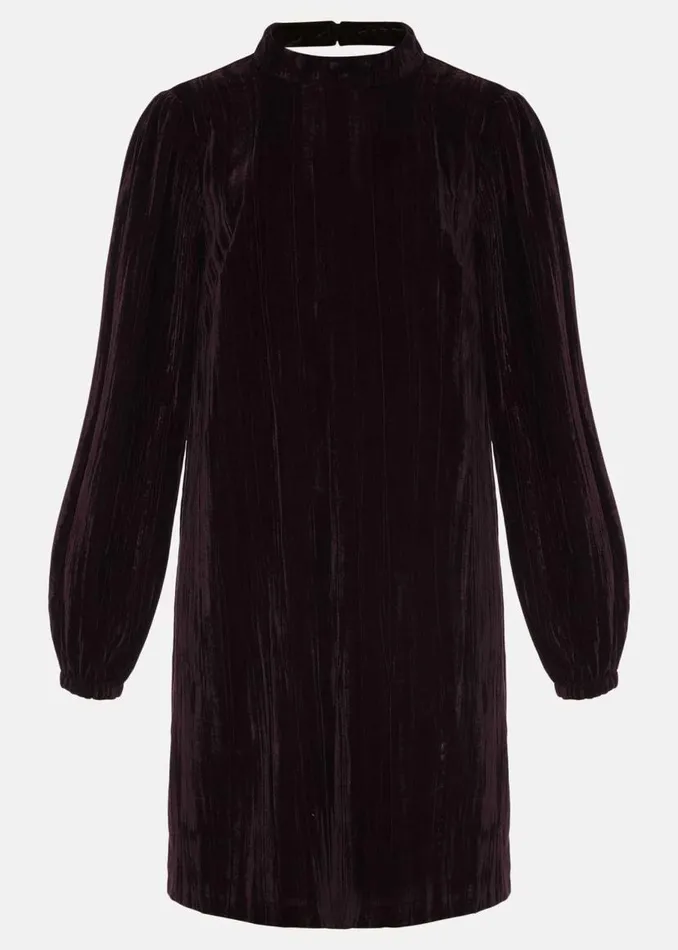 Phase Eight Dresses Jacinda Velvet Shift Dress Aubergine 8211 Women