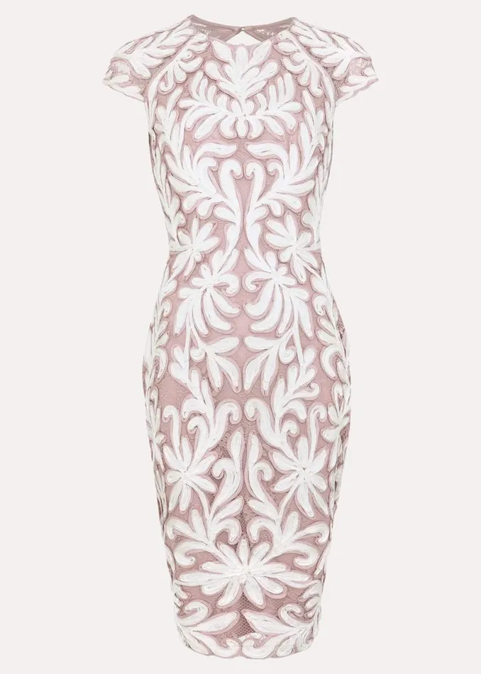 Phase Eight Dresses Karima Tapework Dress Pale Pink 8211 Women