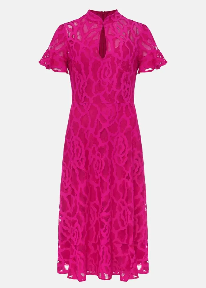 Phase Eight Dresses Lulu Lace Midi Dress Magenta Pink 8211 Women