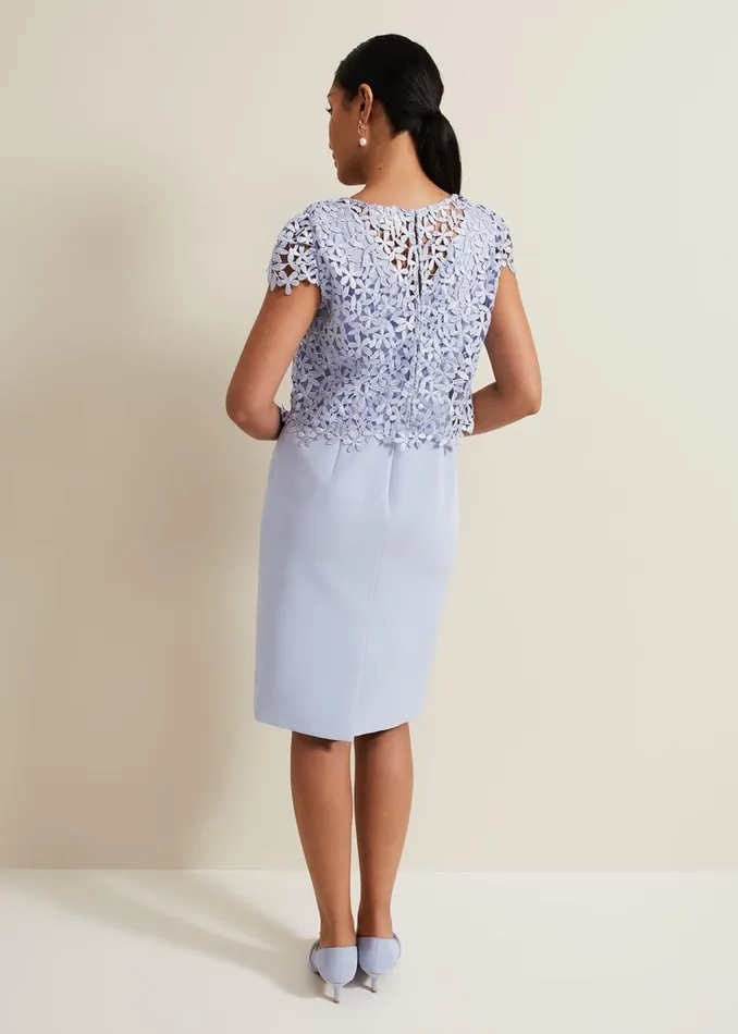 Phase Eight Dresses Petite Daisy Lace Double Layer Dress Pale Blue 8211 Women Phase Eight Dresses Petite Daisy Lace Double Layer Dress Pale Blue 8211 Women