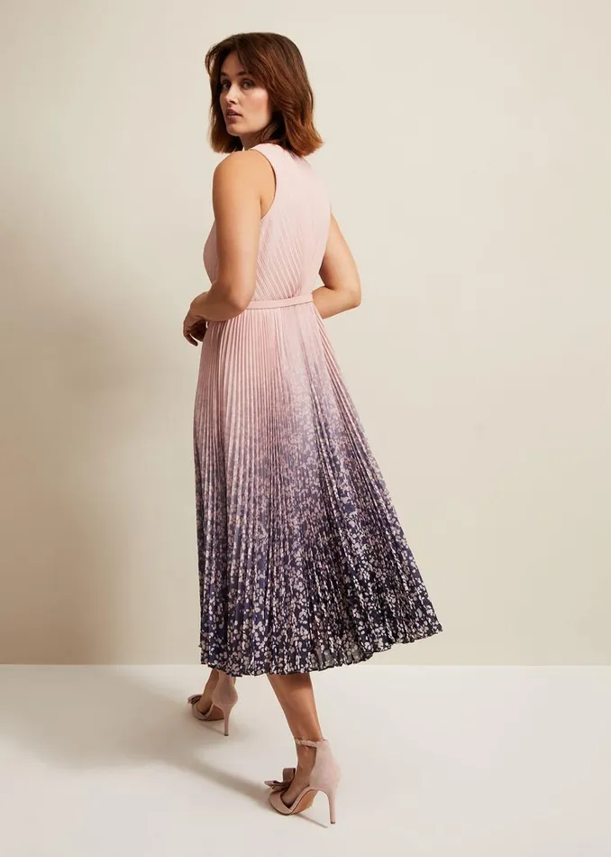 Phase Eight Dresses Simara Printed Midi Dress Multicoloured 8211 Women
