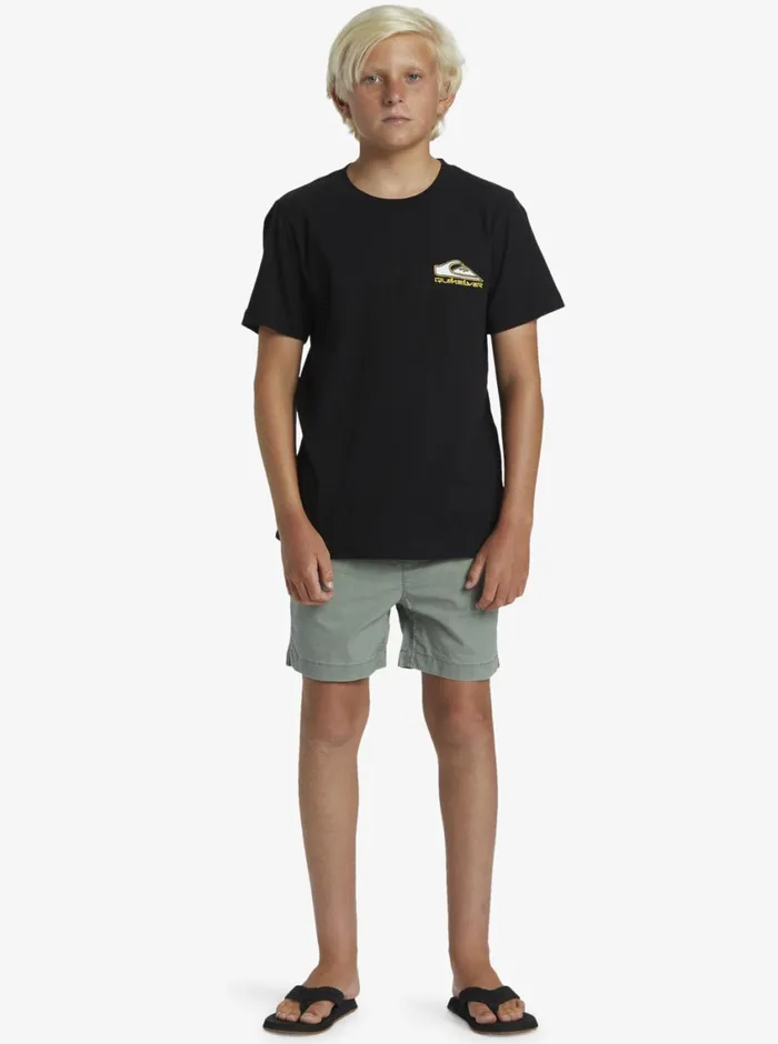 Quiksilver 816 Step Up TShirt Black Boys Tees Quiksilver 816 Step Up TShirt Black Boys Tees