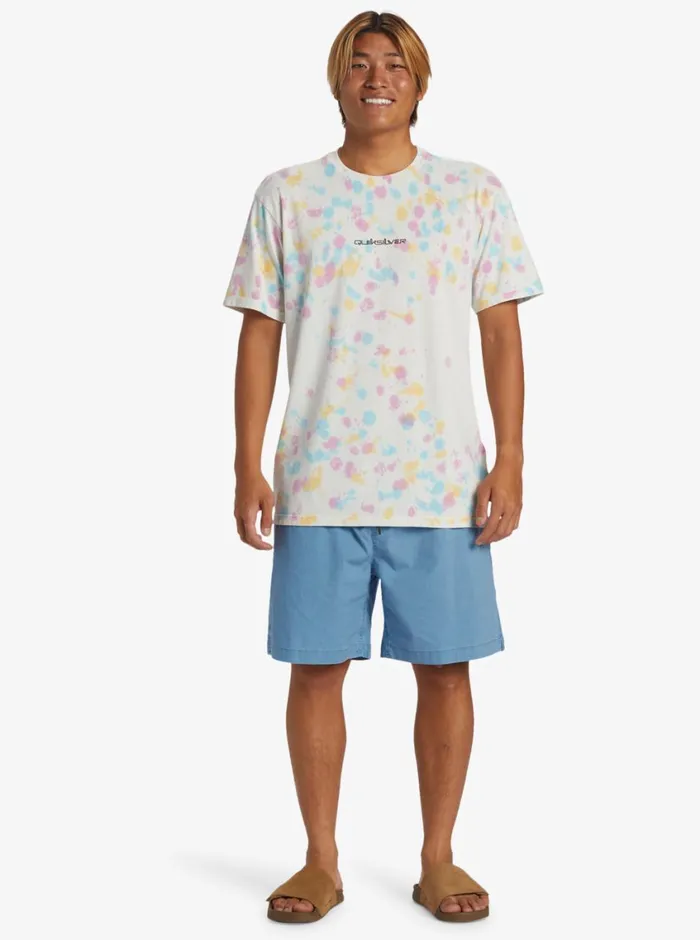 Quiksilver Taxer Shorts Blue Shadow Mens Shorts and Amphibians