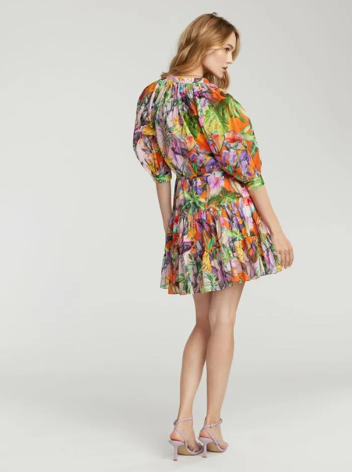 Robert Graham Dresses Women Sydney Dress Multi