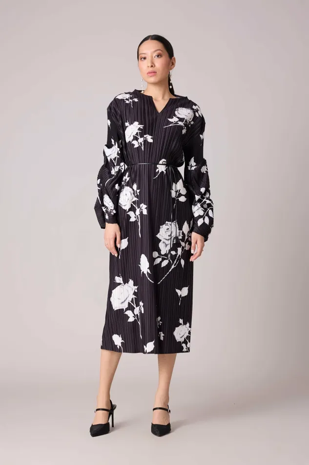 Scarlet Sage Dresses Skylar Floral Dress 8211 Black 8211 Women