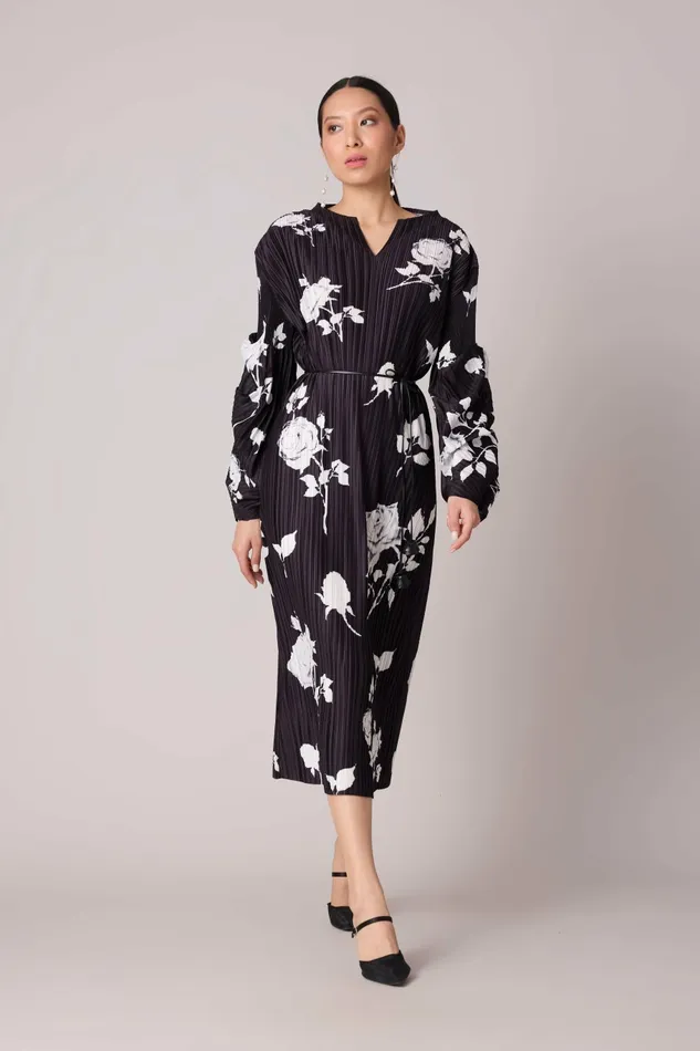 Scarlet Sage Dresses Skylar Floral Dress 8211 Black 8211 Women