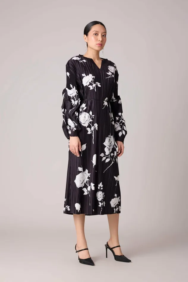 Scarlet Sage Dresses Skylar Floral Dress 8211 Black 8211 Women