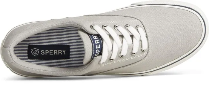 Sperry Sneakers Men Striper II Canvas CVO Sneaker Grey Sperry Sneakers Men Striper II Canvas CVO Sneaker Grey