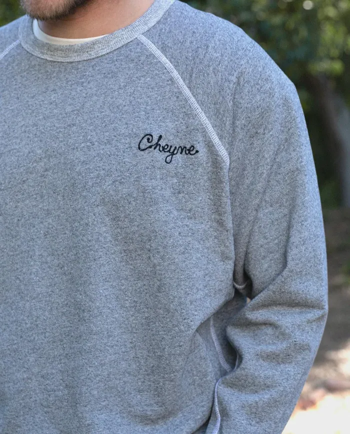 Tees and Sweats Men The Great The Men039s College Sweatshirt Varsity Grey