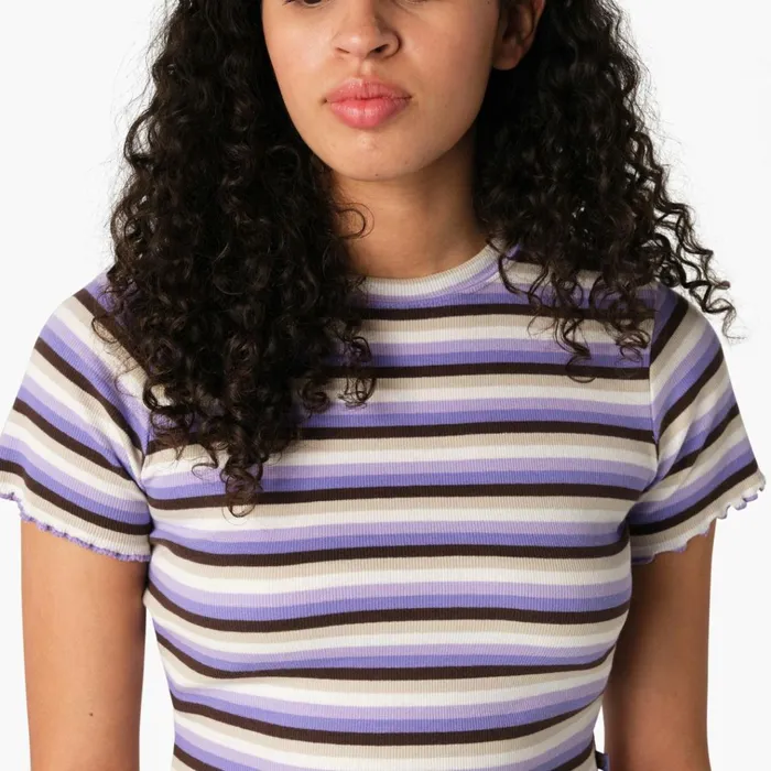 Women039s Striped Cropped Baby TShirt Purple Rose Explorer Stripe Purple Rose Explorer Stripe pxs Women Dickies Cropped Tops Women039s Striped Cropped Baby TShirt Purple Rose Explorer Stripe Purple Rose Explorer Stripe pxs Women Dickies Cropped Tops