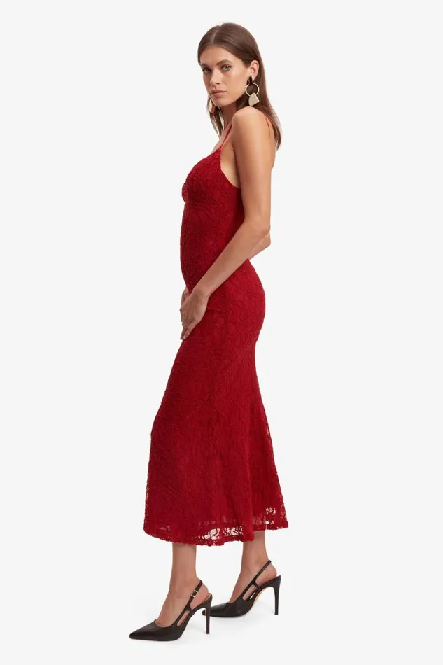 Women Bardot Day To Night Dresses Ruby Lace Midi Dress In Red Women Bardot Day To Night Dresses Ruby Lace Midi Dress In Red