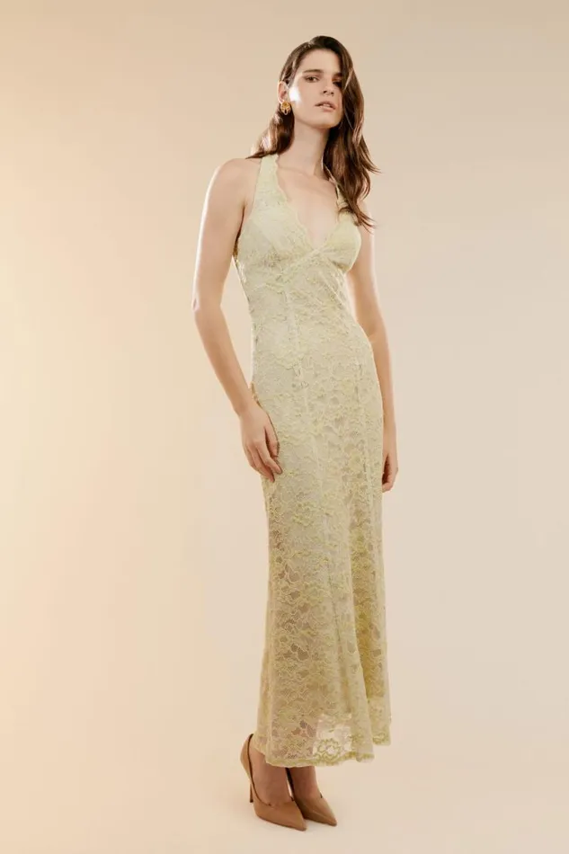 Women Bardot Occasion Dresses Evana Midi Lace Dress In Pale Khaki
