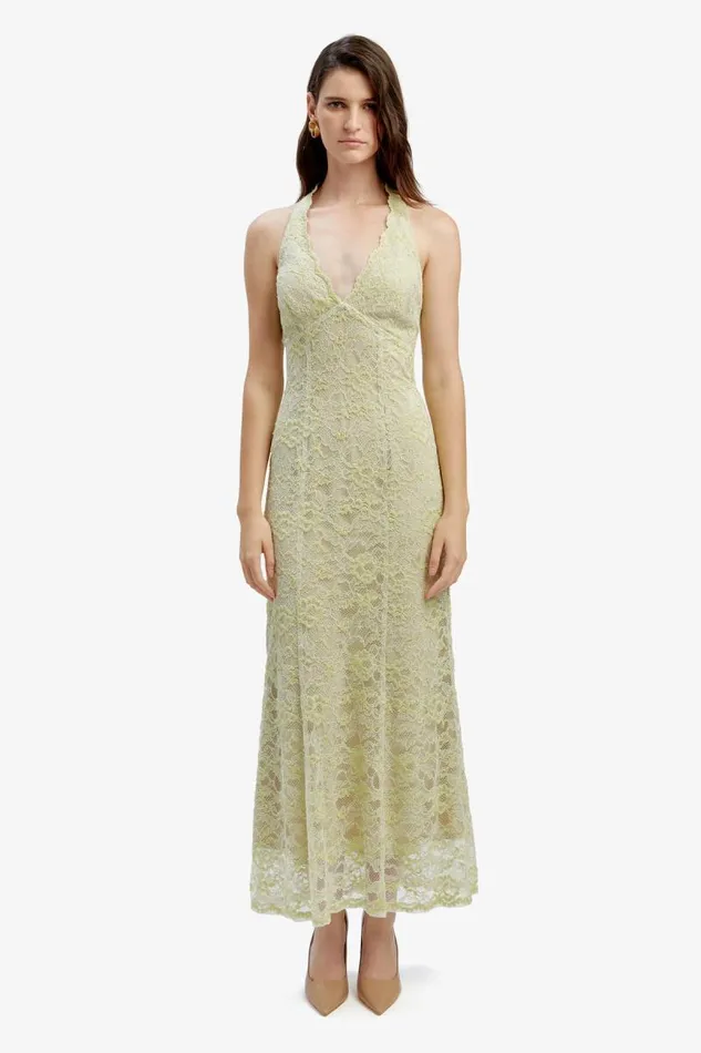 Women Bardot Occasion Dresses Evana Midi Lace Dress In Pale Khaki Women Bardot Occasion Dresses Evana Midi Lace Dress In Pale Khaki