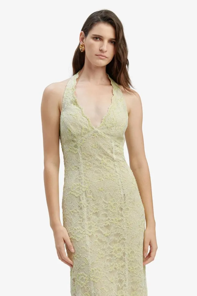 Women Bardot Occasion Dresses Evana Midi Lace Dress In Pale Khaki Women Bardot Occasion Dresses Evana Midi Lace Dress In Pale Khaki