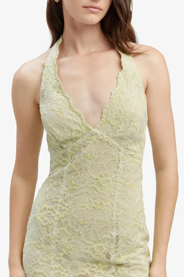Women Bardot Occasion Dresses Evana Midi Lace Dress In Pale Khaki Women Bardot Occasion Dresses Evana Midi Lace Dress In Pale Khaki