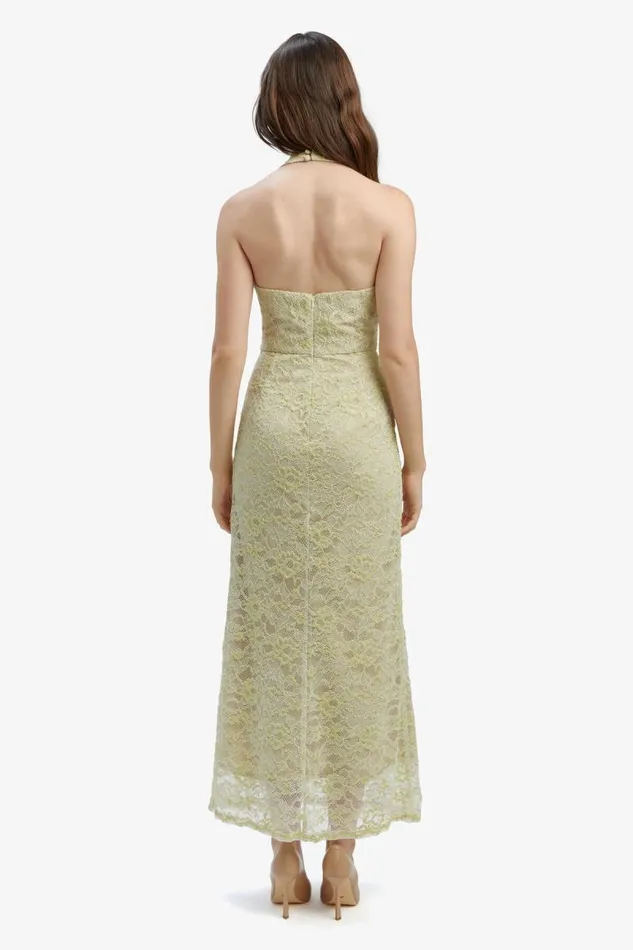 Women Bardot Occasion Dresses Evana Midi Lace Dress In Pale Khaki Women Bardot Occasion Dresses Evana Midi Lace Dress In Pale Khaki