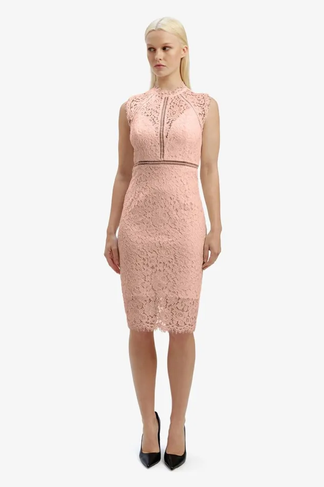 Women Bardot Occasion Dresses Lace Panel Blush In Pale Blush