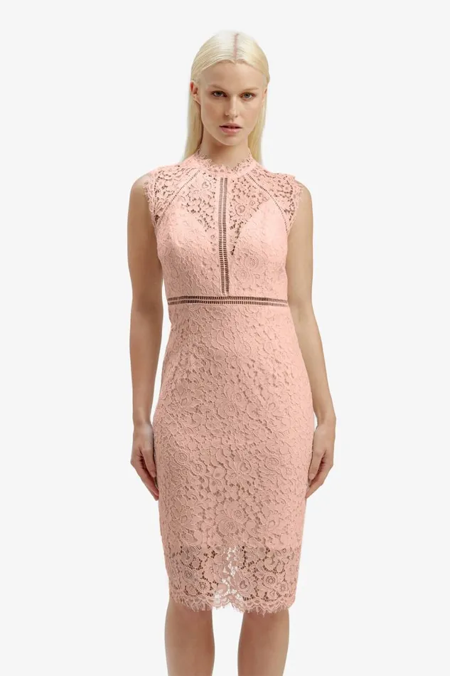Women Bardot Occasion Dresses Lace Panel Blush In Pale Blush Women Bardot Occasion Dresses Lace Panel Blush In Pale Blush