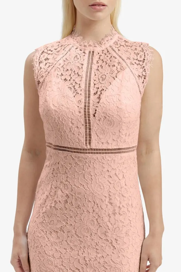 Women Bardot Occasion Dresses Lace Panel Blush In Pale Blush Women Bardot Occasion Dresses Lace Panel Blush In Pale Blush