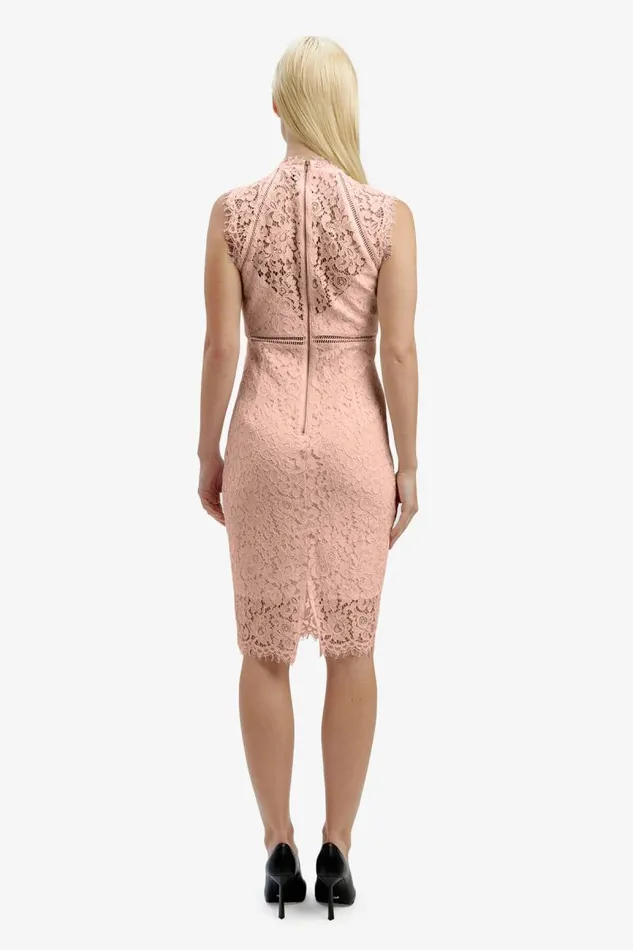 Women Bardot Occasion Dresses Lace Panel Blush In Pale Blush Women Bardot Occasion Dresses Lace Panel Blush In Pale Blush