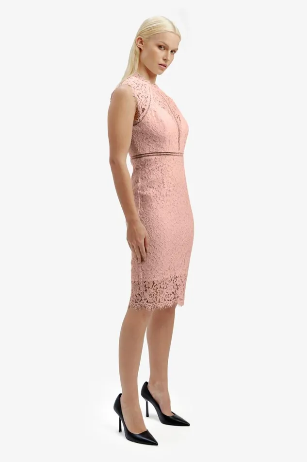 Women Bardot Occasion Dresses Lace Panel Blush In Pale Blush Women Bardot Occasion Dresses Lace Panel Blush In Pale Blush